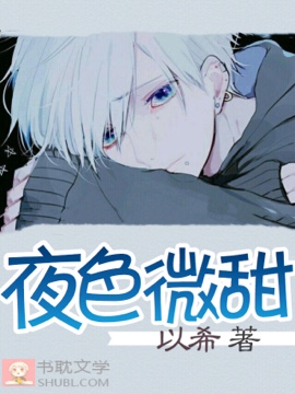 《夜色微甜》封面