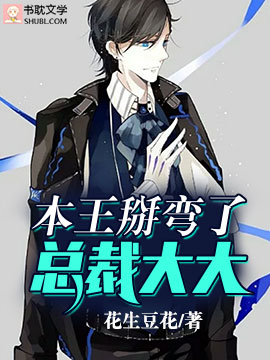 《本王掰弯了总裁大大》封面