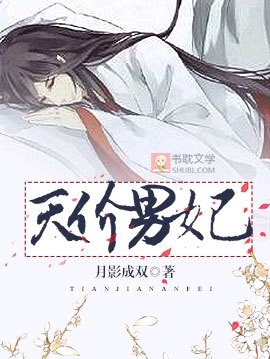 《天价男妃》封面
