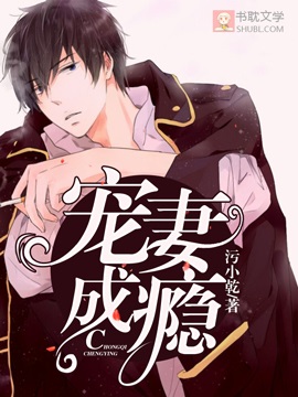 《宠妻成瘾》封面