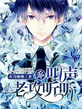 《乖，叫声老攻听听》封面