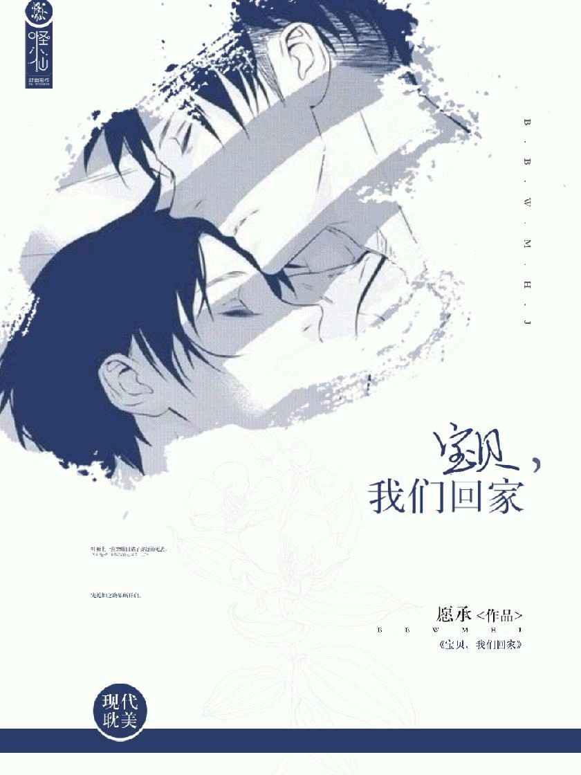 《宝贝，我们回家》封面
