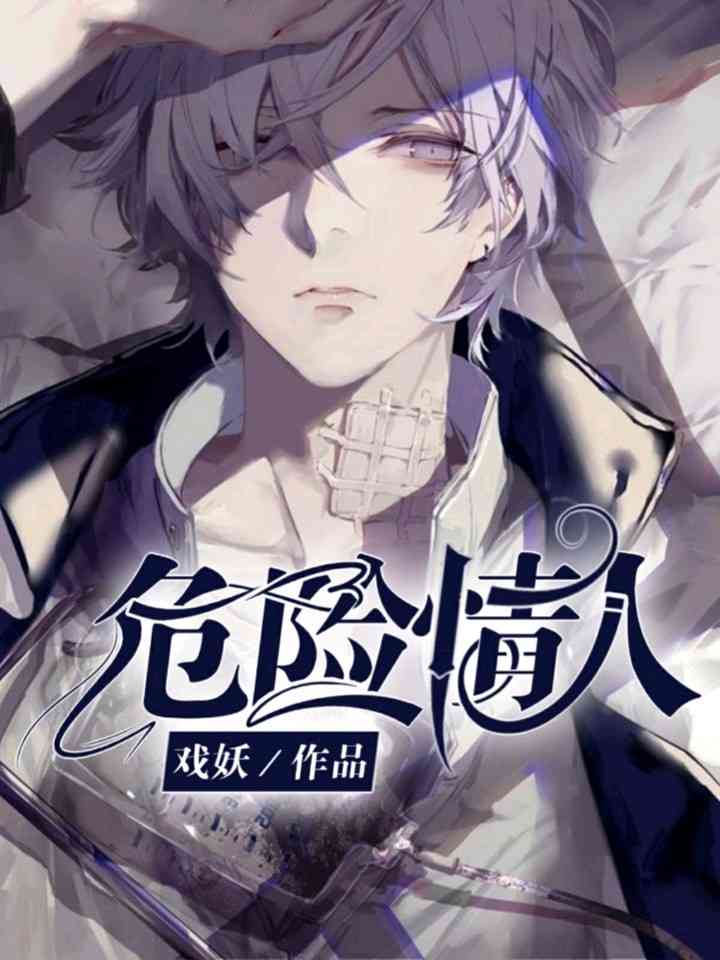 《危险情人》封面