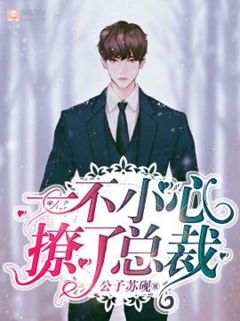 《一不小心撩了总裁》封面