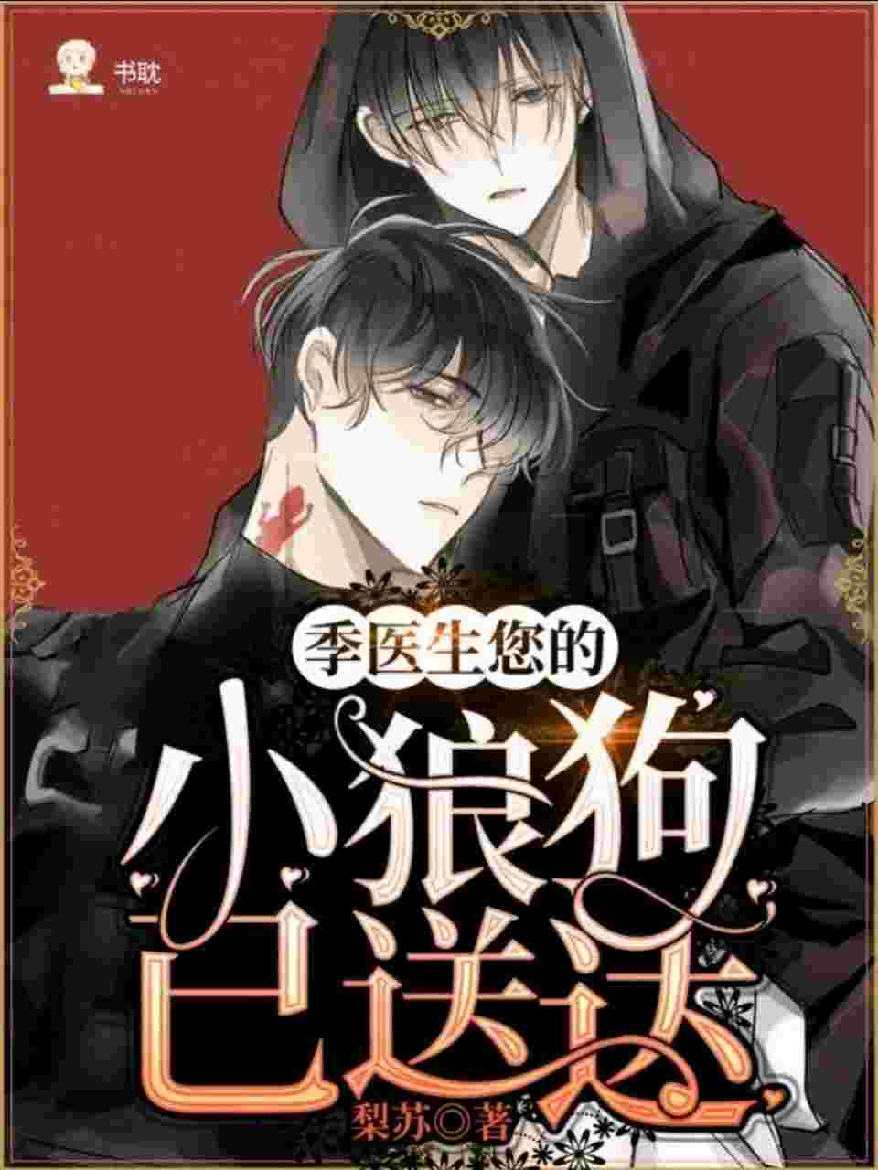 《季医生您的小狼狗已送达》封面
