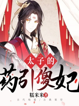 《太子的药引傻妃》封面