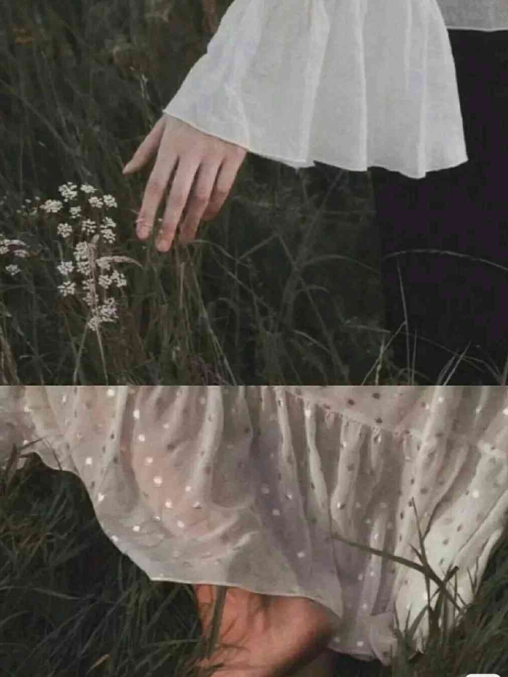http://www.shubl.com/book/book_detail/100462583 2021-10-30