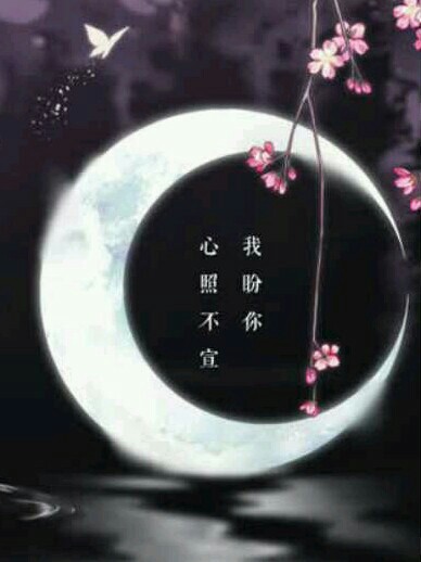 我盼你心照不宣