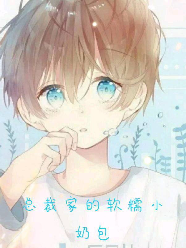 总裁家的软糯小奶包