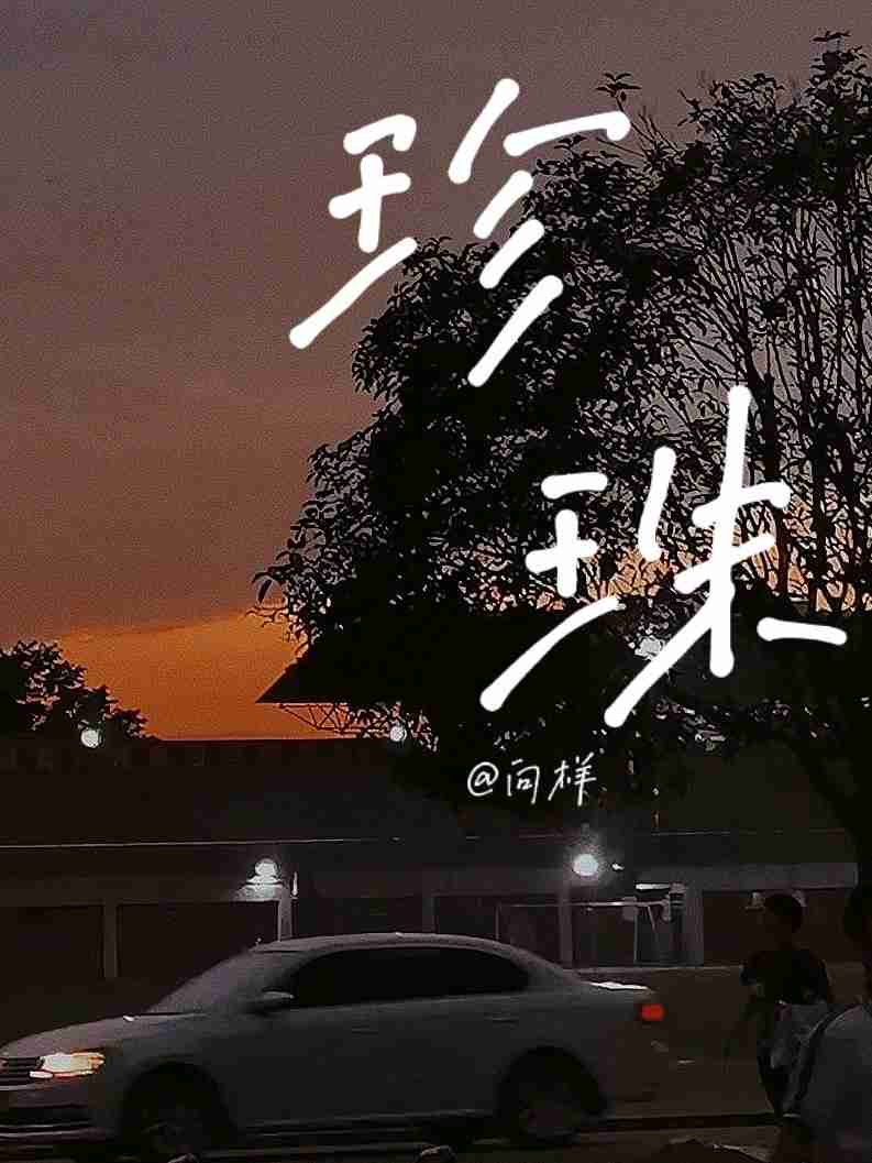 珍珠