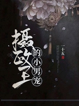 《摄政王的小男宠》封面