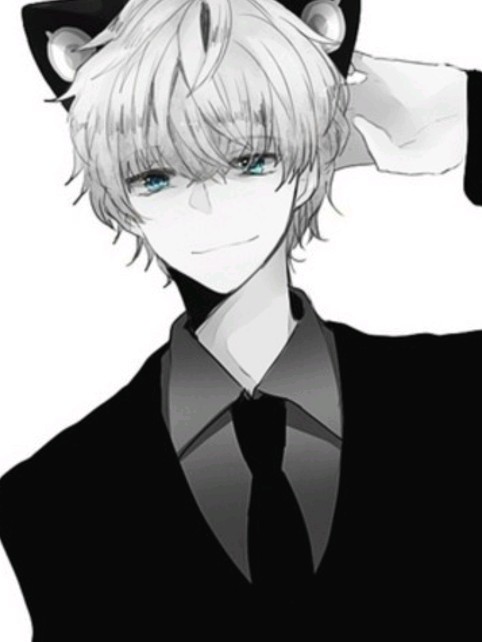 猫少爷和他的总裁男仆