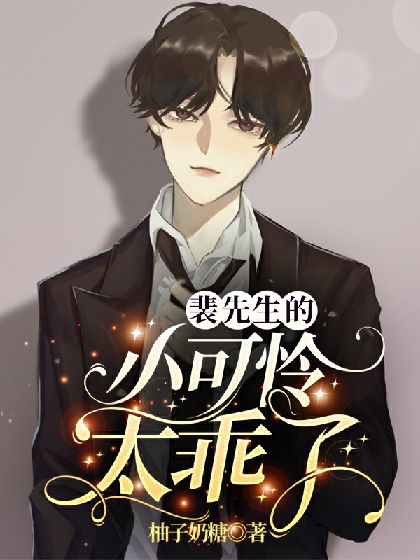 《裴先生的小可怜太乖了》封面