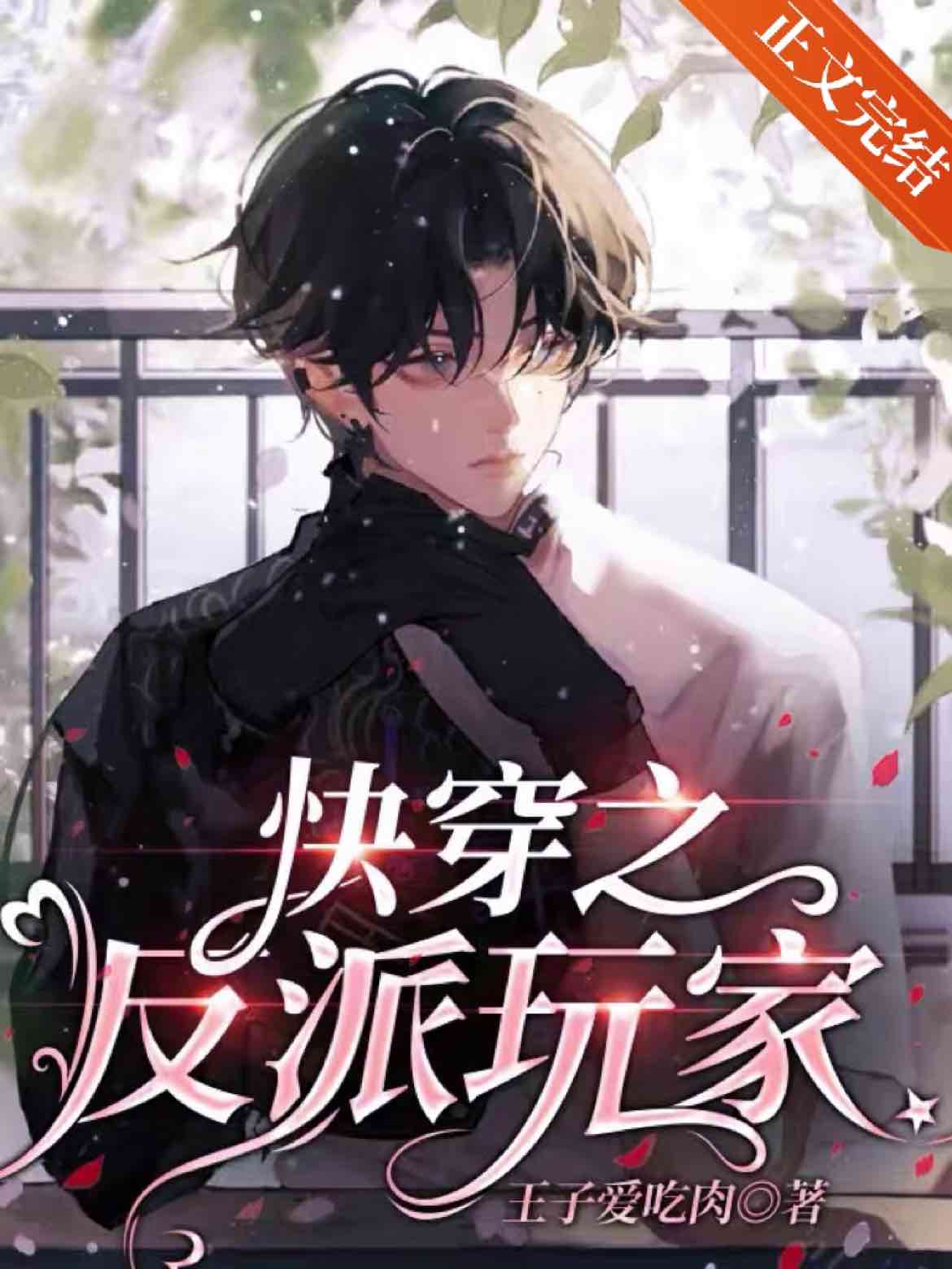 《快穿之反派玩家》封面