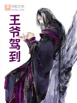 《王爷嫁到》封面