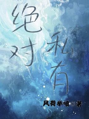 《绝对私有》封面