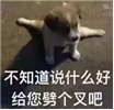 给您劈个叉